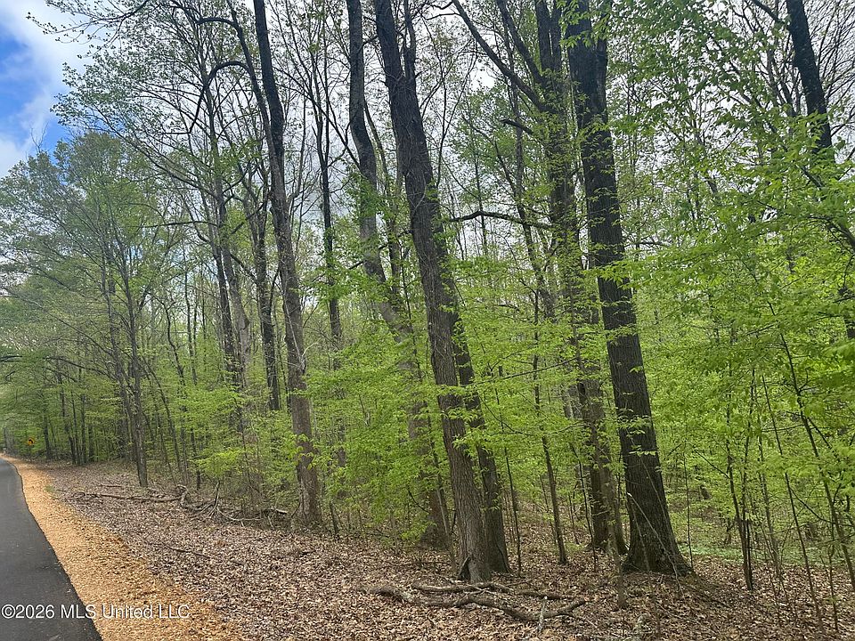 2nd image of Tanyard Rd Lot 11