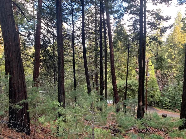 3230 Menominee Ct, Arnold, CA 95223