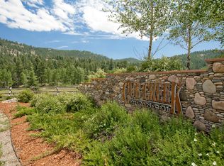6413 Little Cub Creek Rd, Evergreen, CO 80439
