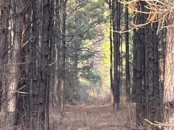 Na Kickapoo Rd, Groveton, TX 75845