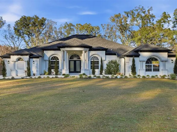 28233 Sonny Dr, Wesley Chapel, FL 33544