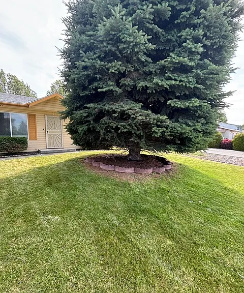 217 E Belair Dr — Photo 16