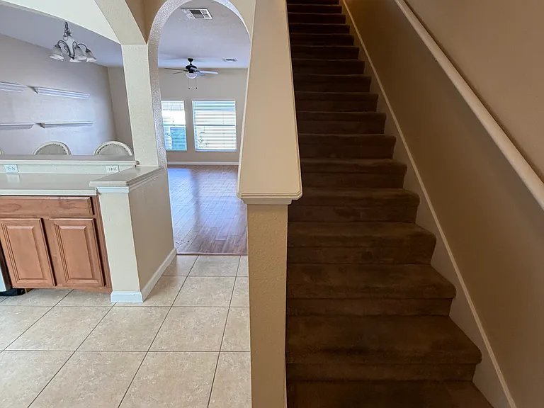 9109 Oak Fern Dr — Photo 5