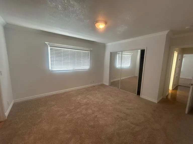 429 Paulette Pl — Photo 12