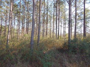 0 Armstrong Rd, Columbia, MS 39429