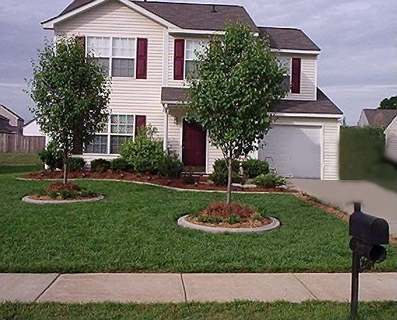 Beautifully landscaped yard