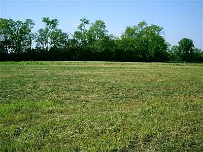 240 Chrisman Oaks Trl photo 1