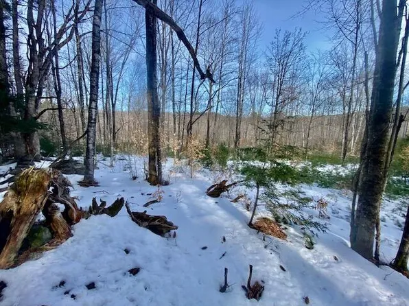 R7-45 Pendexter Road, Parsonsfield, ME 04048