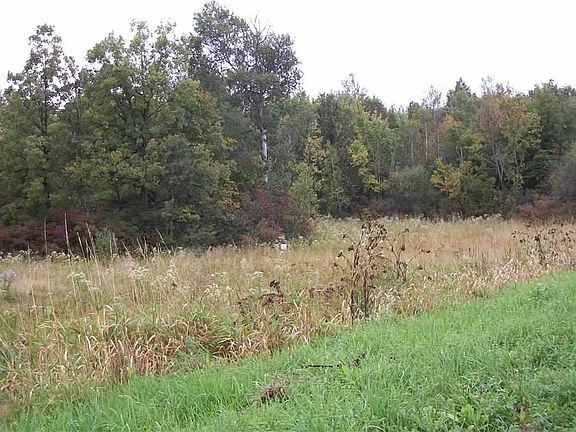 5th image of County Route 19 Lot 19