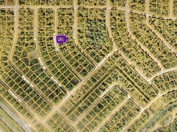BREADNUT STREET LOT 9, NORTH PORT, FL 34288