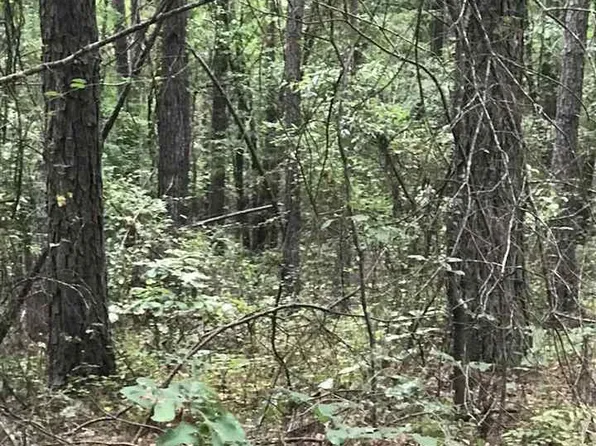 0 State Highway 191 #39, Alpine, AL 35014