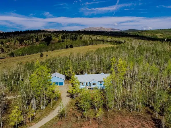 331 Canthook Lane, Fairplay, CO 80440