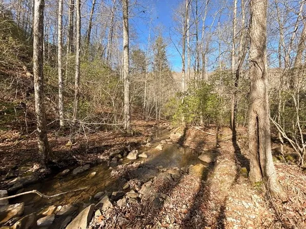 5 Deerhead Rd, Dunlap, TN 37327