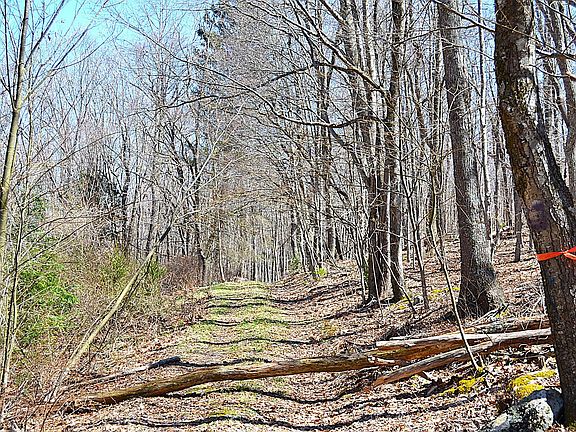 2nd image of 2245 Crowder Rd