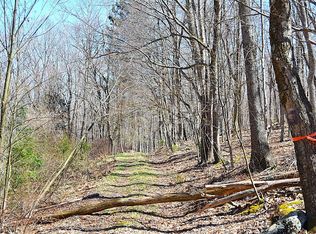 2245 Crowder Rd, Gap Mills, WV 24941