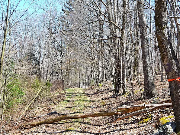 2245 Crowder Rd, Gap Mills, WV 24941