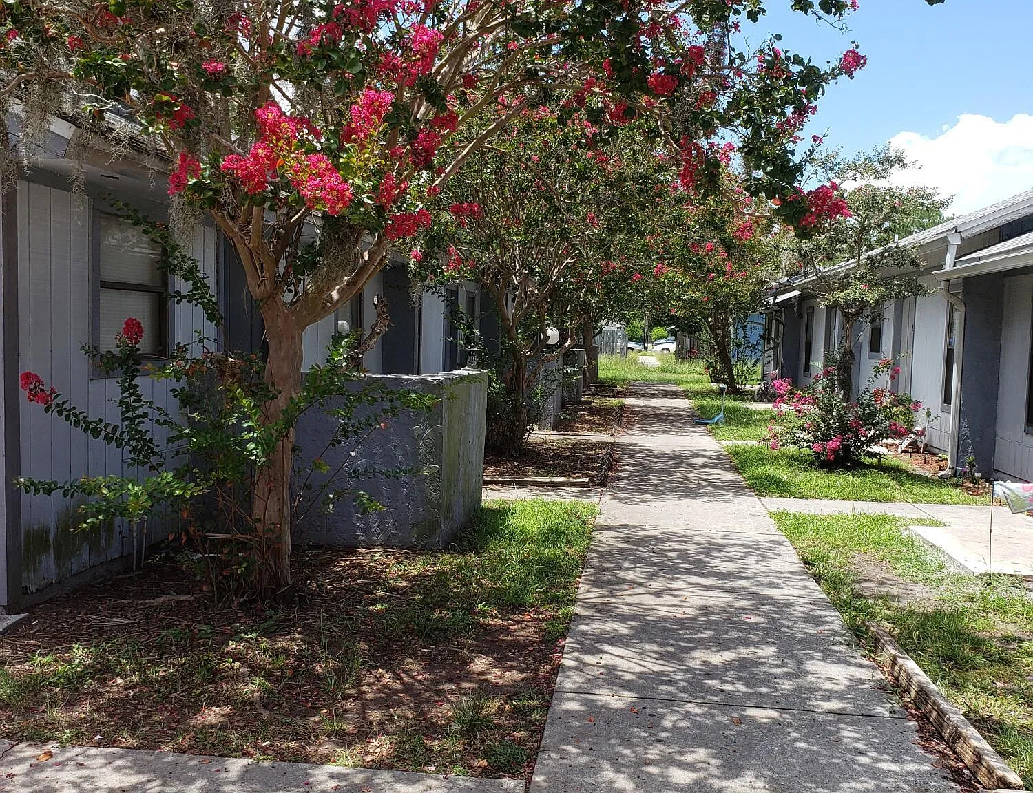 2 bed, 4.0 bath, 900 sqft, $995 — Photo 1