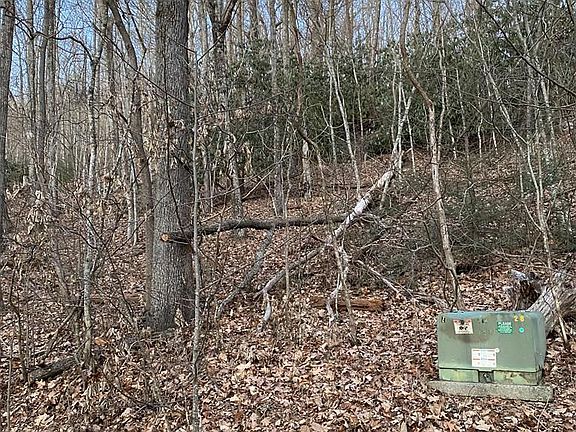 2nd image of Lot 121 Black Oak Drive