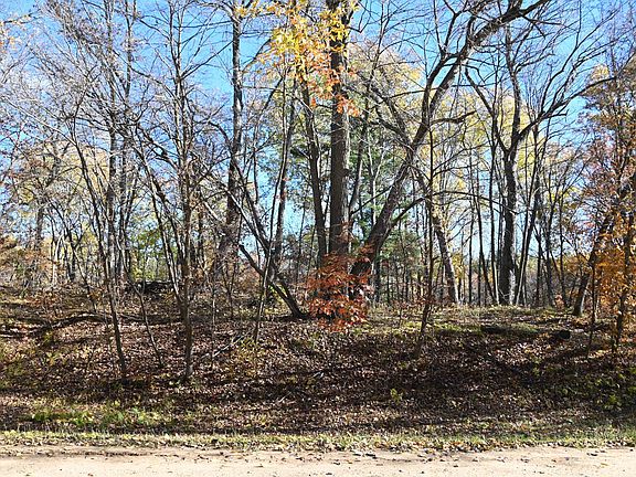 4th image of 39906 Pine Island Point Dr