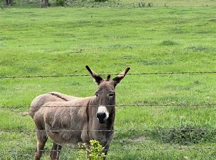 99 Axis Cir, Fredericksburg, TX 78624