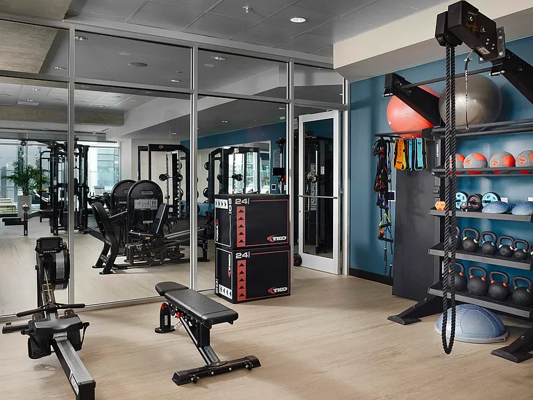 Additional fitness studio with cardio and weight equipment