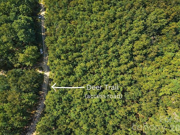 3rd image of 00-00 Deer Trl Lot 39