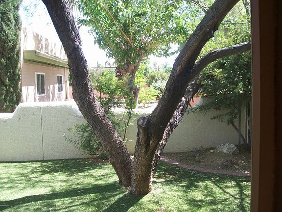 3rd image of 1231 N Paseo Del Cervato