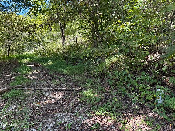 4th image of 1128 Blue Springs Rd