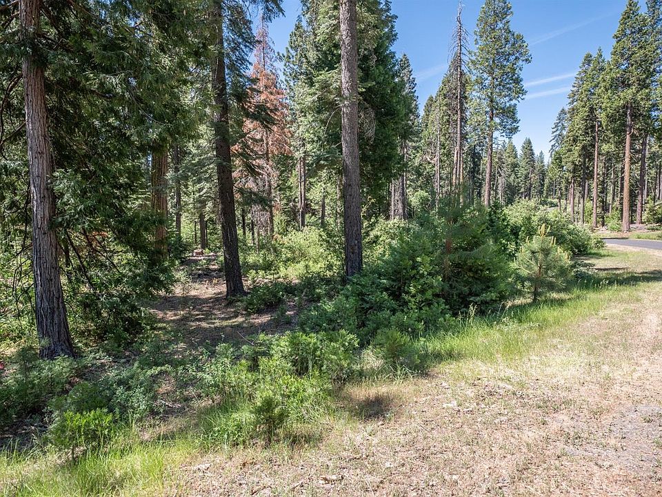 1st image of 11 Timber Trail Ct #11