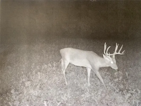 0 County Road 515, Mc Gee, MO 63763