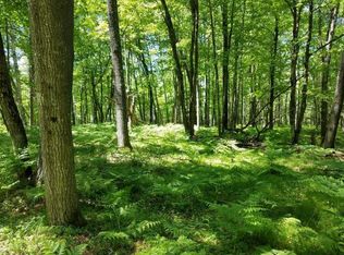 ON Scott Rd, Arbor Vitae, WI 54568