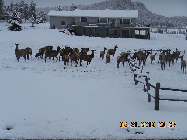 2nd image of 7615 Malamute Dr