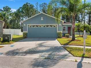 5104 Sun Meadow Ct, Wesley Chapel, FL 33545