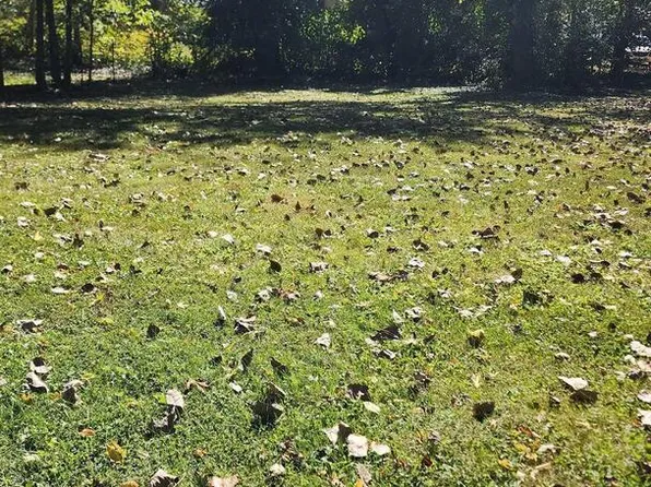 507 E Larch St, Carbondale, IL 62901