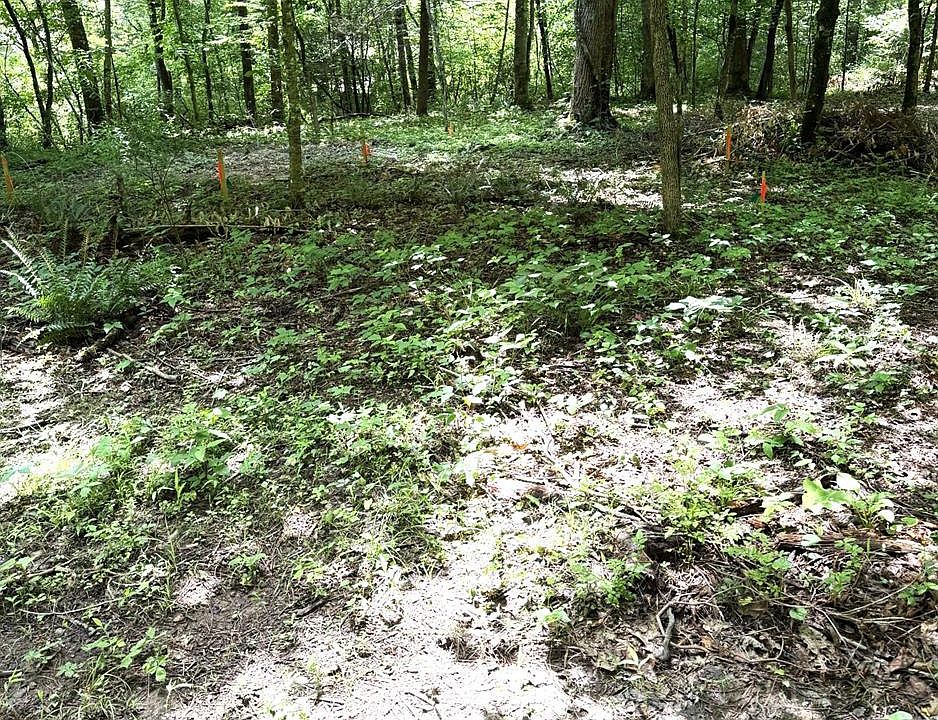 1st image of 10 Hideaway Ln