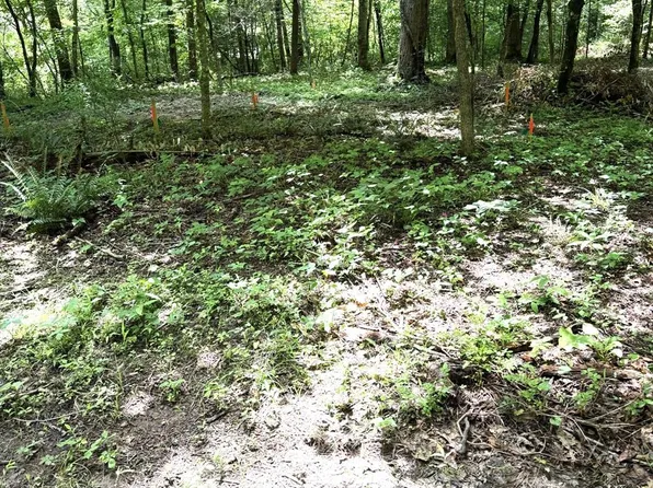 10 Hideaway Ln, Franklin, NC 28734