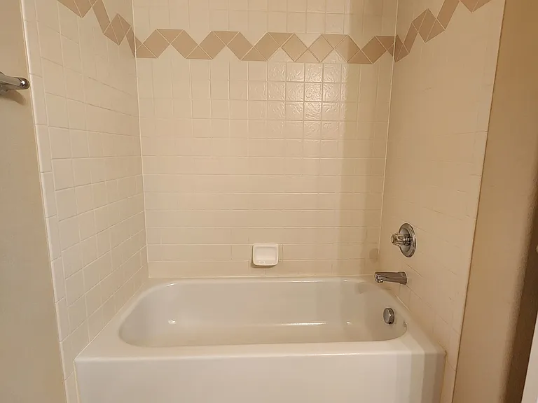 Downstairs Bathroom Tub & Shower