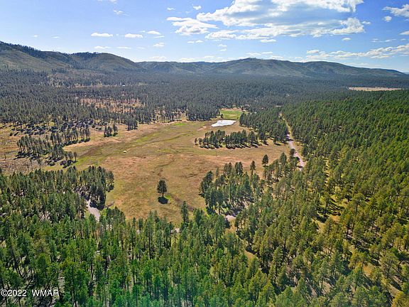 1A Forest Rd #26, Alpine, AZ 85920 | MLS #239420 | Zillow