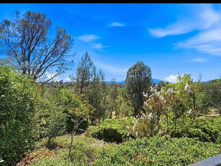 Backyard views