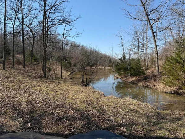 9157-B State Road D #45 Acres M/L, Camdenton, MO 65020