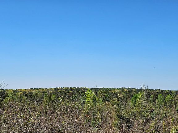 Butler Rd Tract 3 04