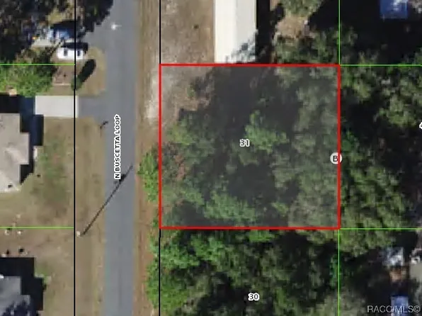 8646 N Buscetta Loop, Crystal River, FL 34428