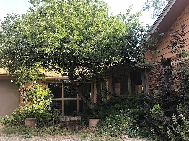 1515-1525 Kalmia — Photo 18