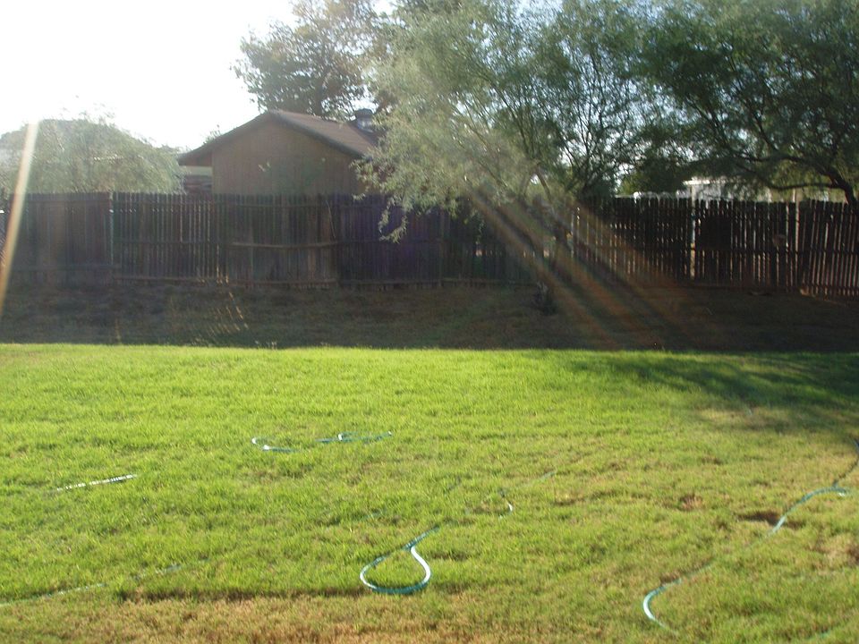 Extra Large Lots with Mountain Views