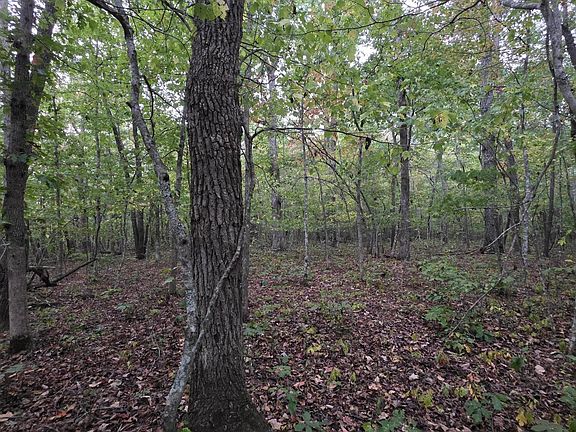 5th image of N Lake Trl