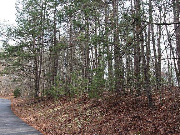 2nd image of 0 Old Evans Rd