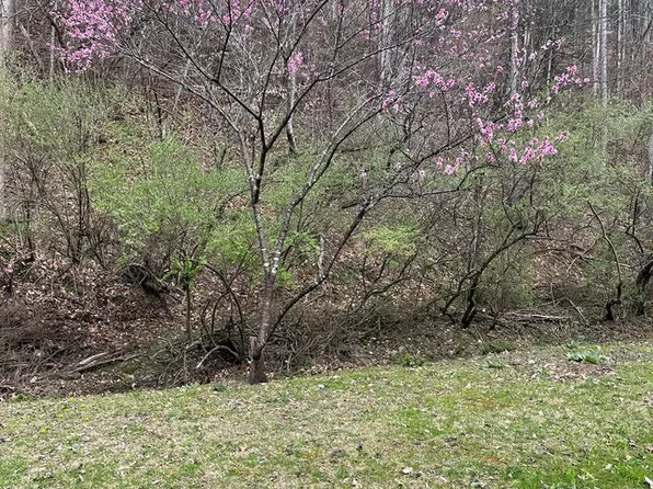 663-1242 Glass Mountain Rd, Vansant, VA 24656