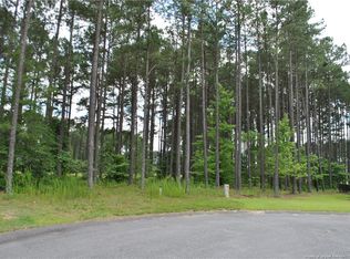 181 Spring Pond Ln, Spring Lake, NC 28390