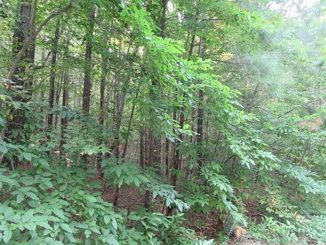 2nd image of 20 Dabney Woods Dr Lot 20