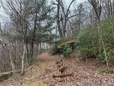 32 Grand Oaks Dr, Hendersonville, NC, 28792